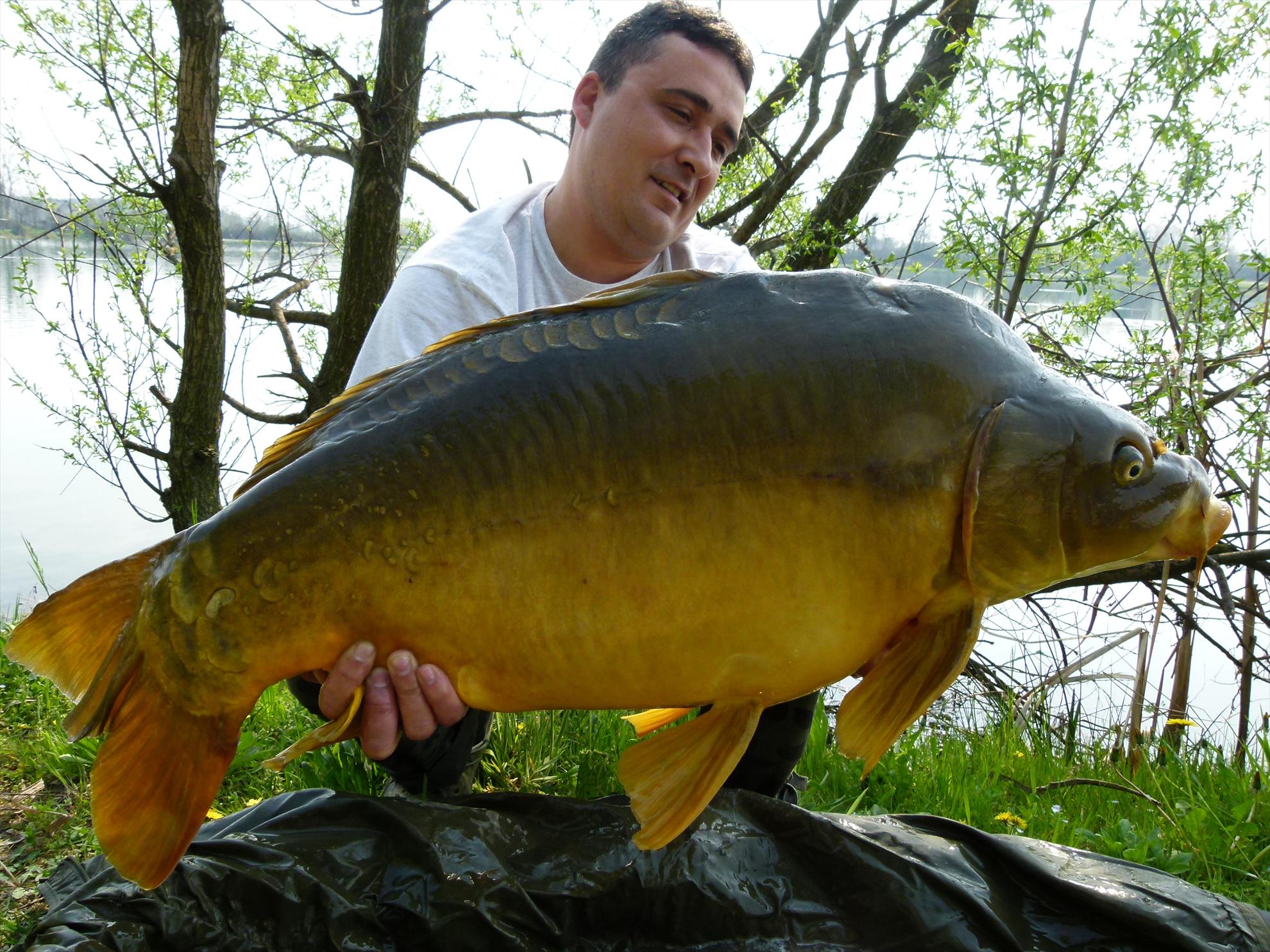ISOLA DEL PESCATORE 16 - 17 apr. - p1030294.JPG
